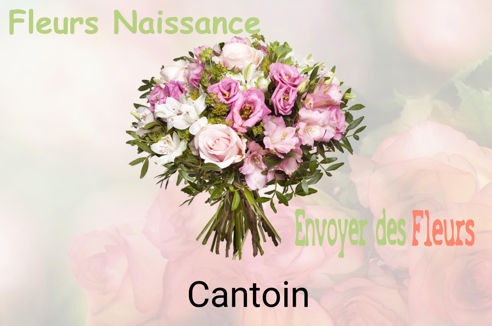 Bouquet de fleurs de naissance livré à Cantoin