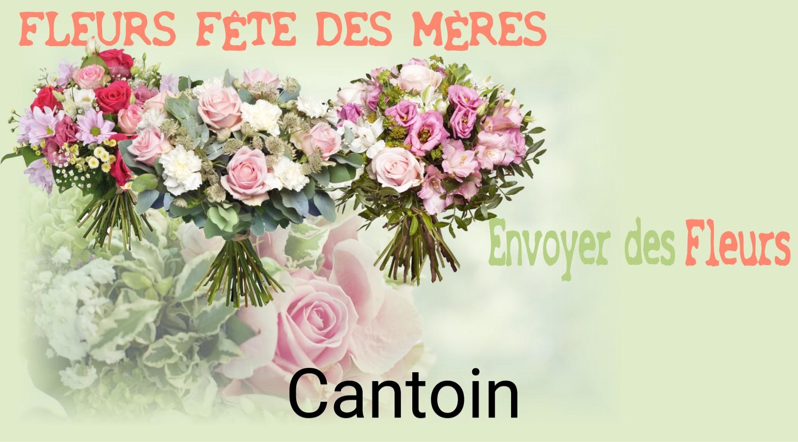 Bouquet de Fête des Mères livré à Cantoin